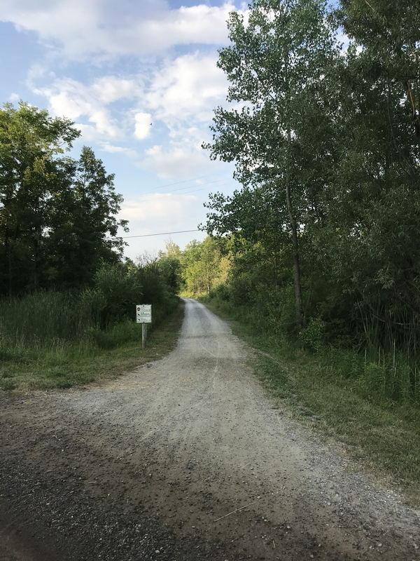 Shoup - July 2020 Photo (newer photo)